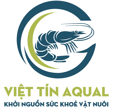Việt Tín Aqual