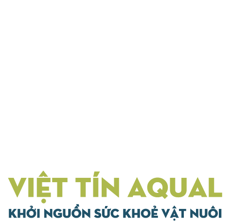 Việt Tín Aqual